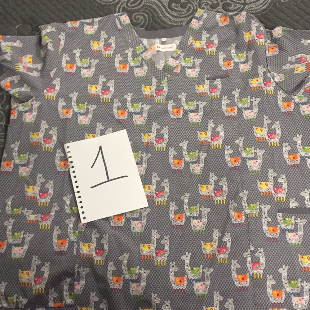 Scrub top only